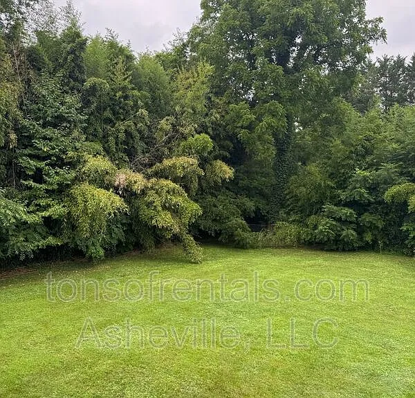 24 Mull St — Photo 16