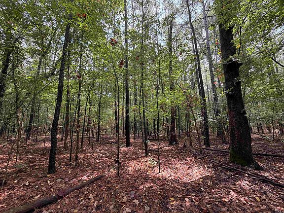 4th image of 0 Smith Rd