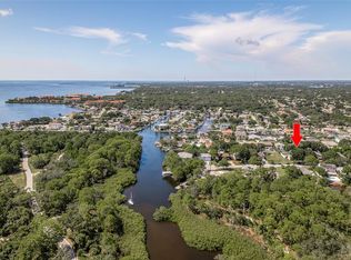 14 Baywood Dr, Palm Harbor, FL 34683