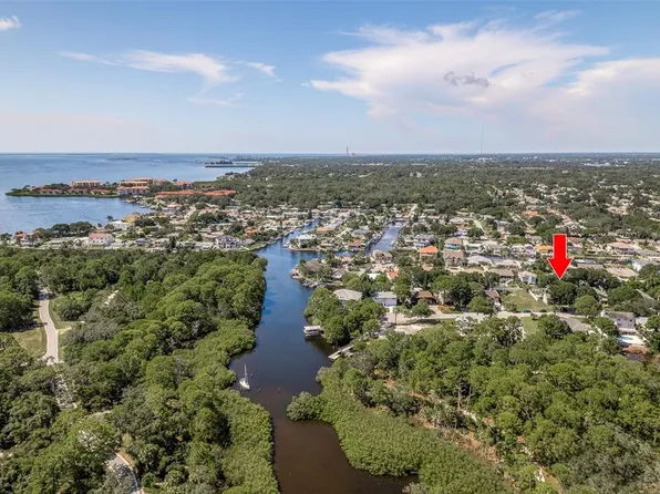 14 Baywood Dr, Palm Harbor, FL 34683
