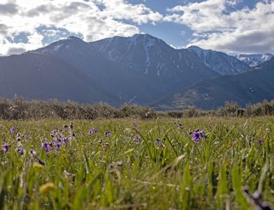 Nhn Mile Crk, Cameron, MT, 59720