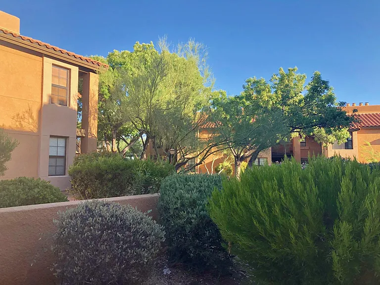 6651 N Campbell Ave #126 — Photo 9