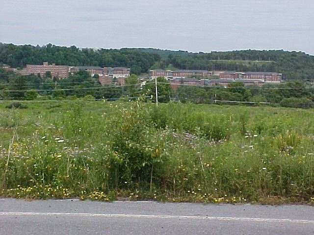 1st image of 54 Nadalini Dr