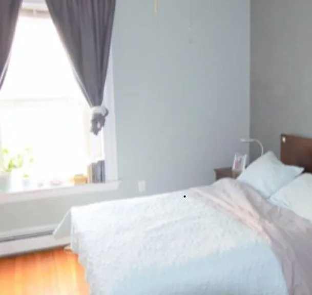 11 Euston St #3 — Photo 5