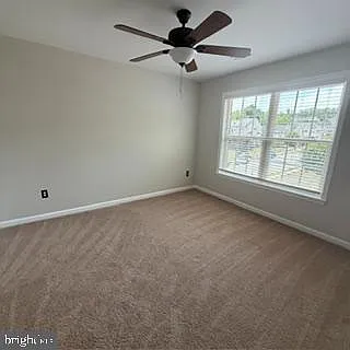 100 Sand Dollar Cv — Photo 20