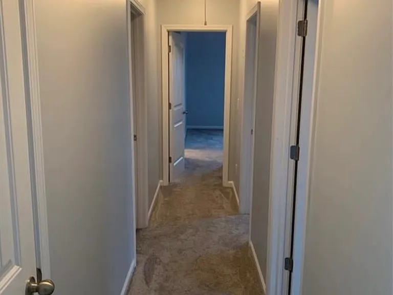 805 Pleasant Hill Rd #162 — Photo 12