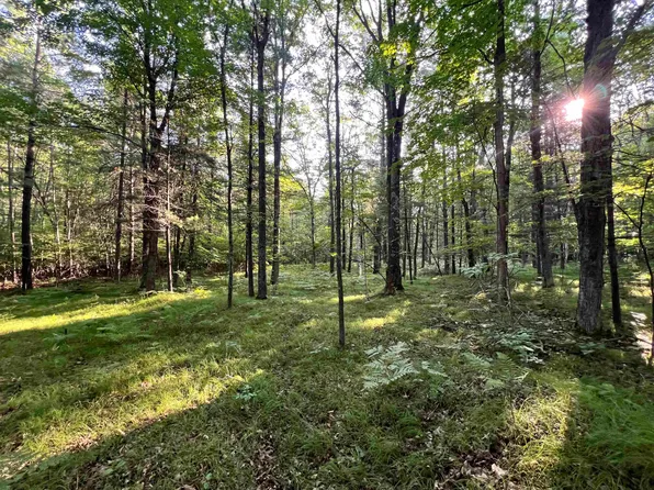 Cemetery Rd, Pembine, WI 54156