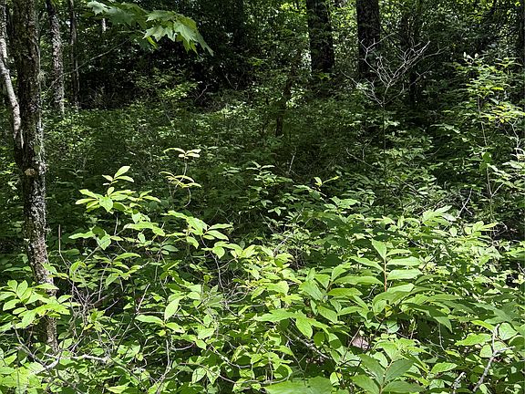 5th image of TBD Indian Lake Road