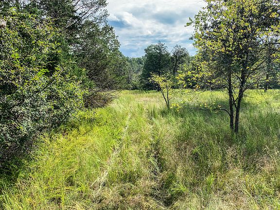 5th image of 216 Auttie Ln