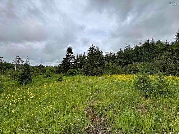 5th image of 128 New River Rd