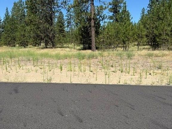3rd image of LOT 10 Long Lake Estates Way