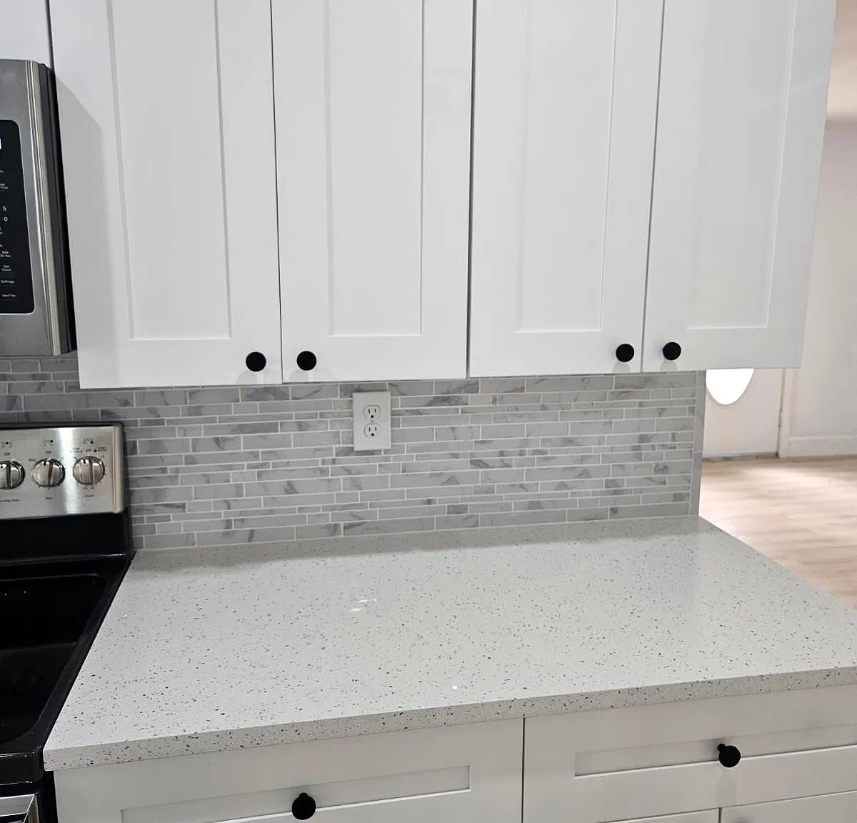 3 bed, 1330 sqft, $2,800 — Photo 4
