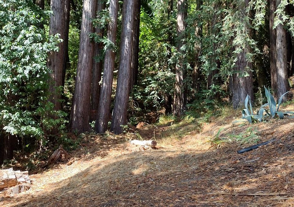 1st image of 18355 Neeley Road