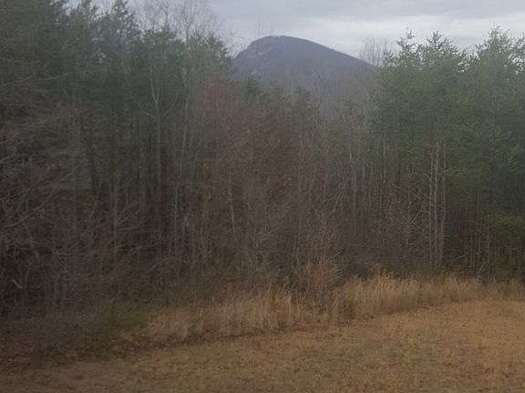 Mount yonah in back yard