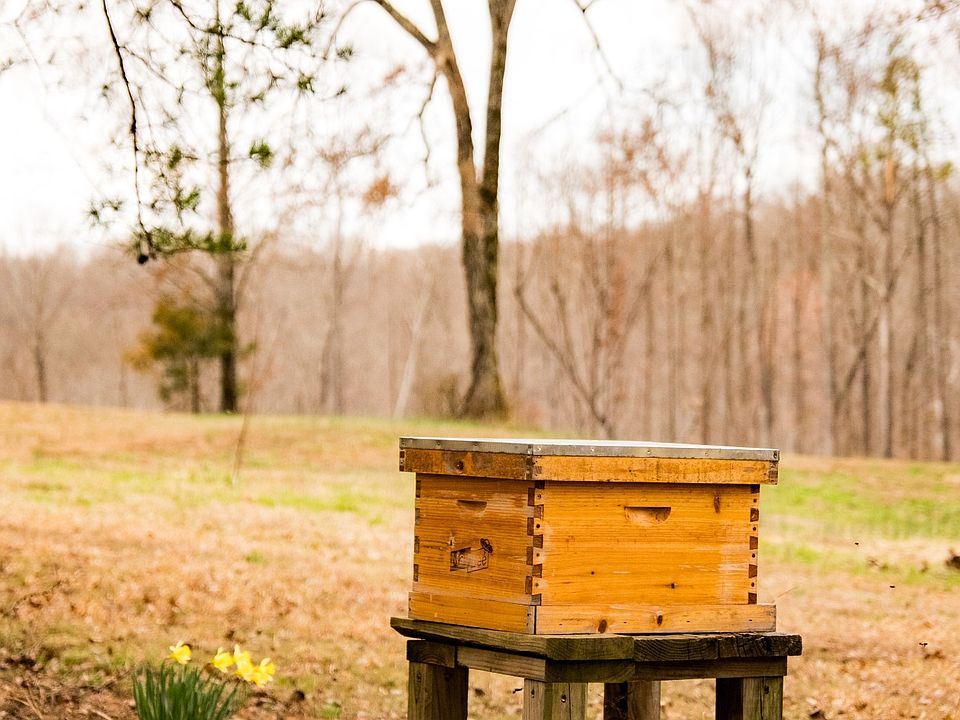 49th image of this home