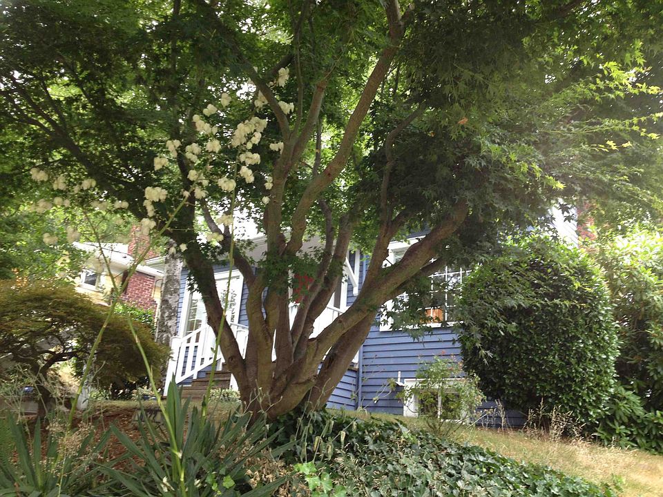 2nd image of 6522 30th Ave NE
