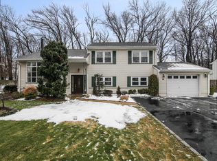 96 Briar Hills Cir, Springfield, NJ 07081