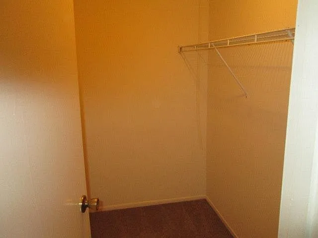 master bedroom walk in closet