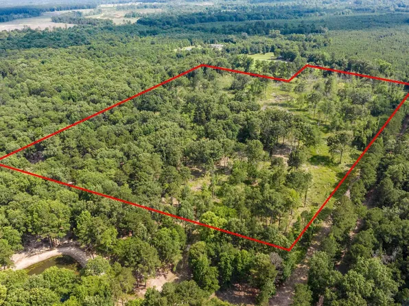 County Road 175, Long Branch, TX 75669