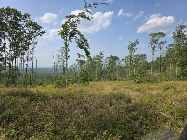 74 French Town and Muzzy Ridge Road, Searsmont, ME 04973
