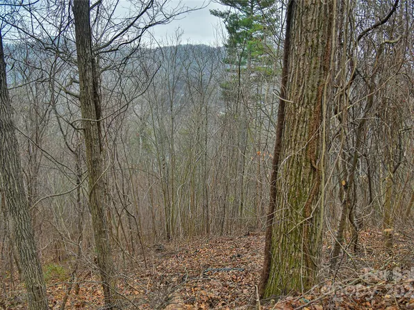 390 Vance Gap Rd #2, Asheville, NC 28804