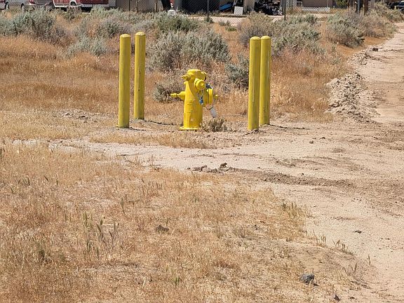 5th image of Elberta St