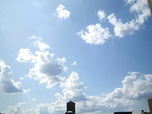 Rented by City Connections Realty | media 40