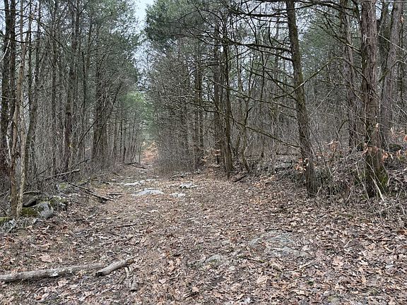 3rd image of 0 Cook Ln
