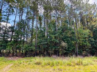 LOT 15&16 Highway 449, Pine Grove, LA 70453
