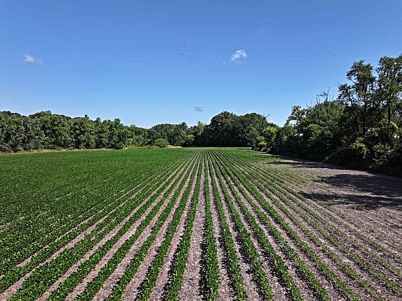 5th image of 9.93 M/l Acres Hwy #51