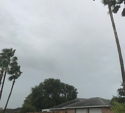 3rd image of 802 Palm Blvd