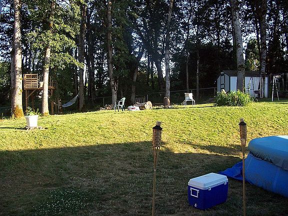 back yard