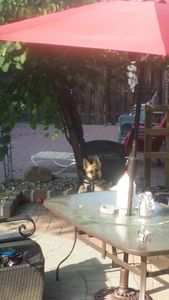 2222 Rhawn St, Philadelphia, PA, 19152