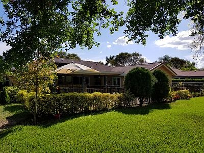 Back yard