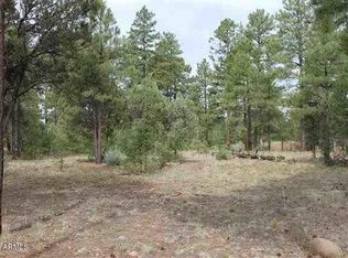 3961 Shaggy Bark Rd, Show Low, AZ 85901