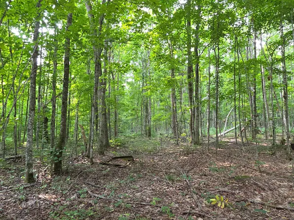 2139 Myrtle Ln, Vanderbilt, MI 49795