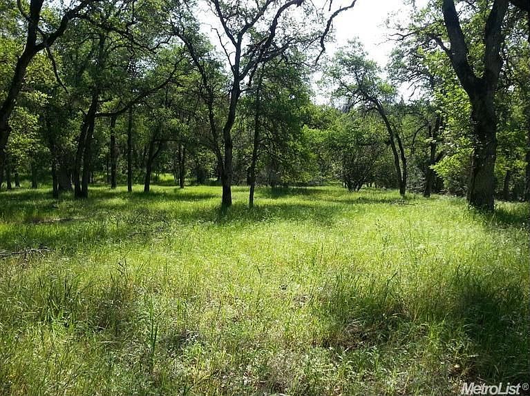 2nd image of 5921 Garden Park Dr