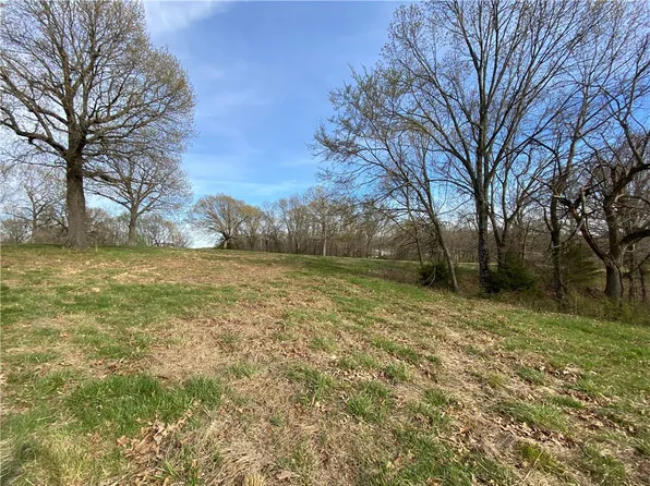 15 Cherry Bark Ln, Noel, MO 64854