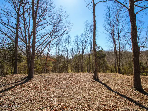 2011 W Highway 524 Tract 2, La Grange, KY 40031