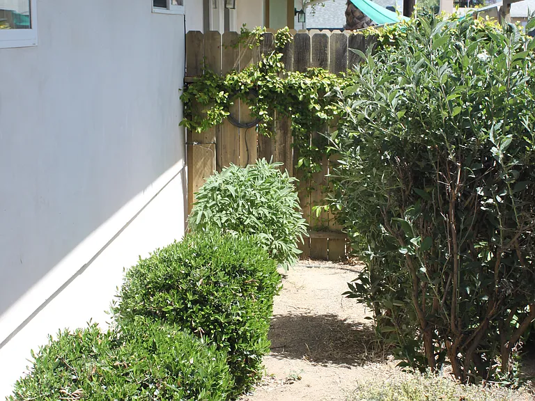 533 Central Ave #B — Photo 19