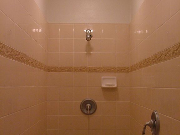 Walk-In Shower w/ Dual Individually Controlled Heads (Master Bathroom)