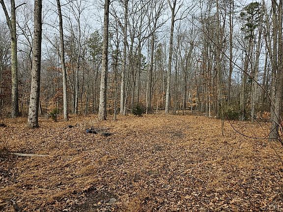 3rd image of 364 Hallwood Dr