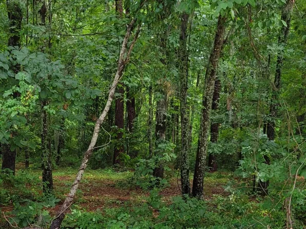 0 Copeland Dr, Manning, SC 29102