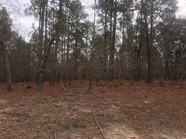 2nd image of 235 Morganwood Dr