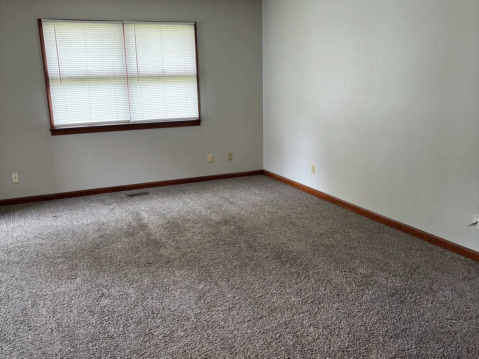 1 bed, 700 sqft, $600 — Photo 3