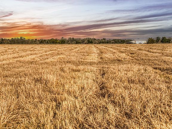 4th image of T B D County Rd #318