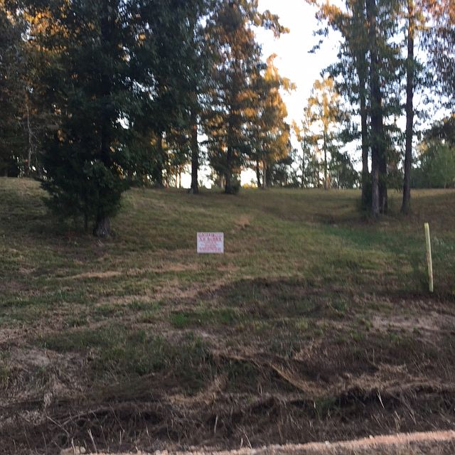 2nd image of 526 Oak Point Dr