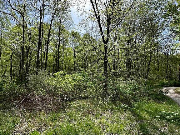 3rd image of LOT 6 Mobley Dr