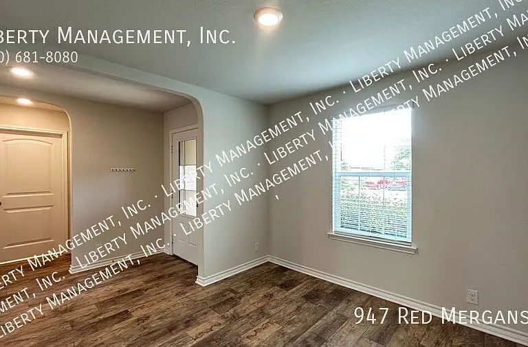 947 Red Merganser — Photo 2