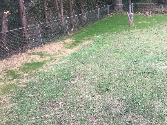 Landlord furnishes the lawn maintenance.